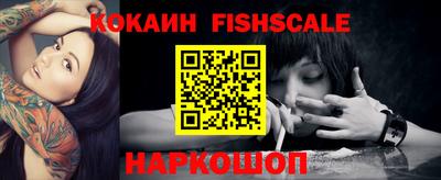 крисы Дубна