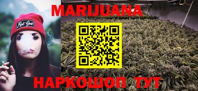 крисы Дубна