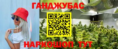 крисы Дубна