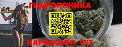 крисы Дубна