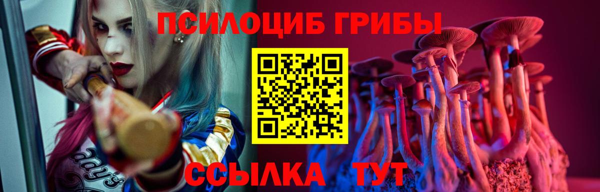 Псилоцибиновые грибы MAGIC MUSHROOMS Новоалтайск