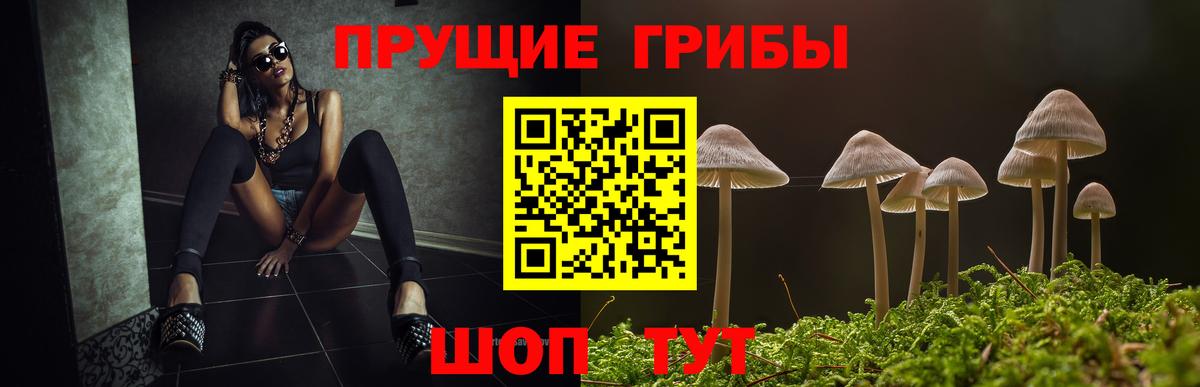 Галлюциногенные грибы мухоморы  Вход с VPN  Новоалтайск 